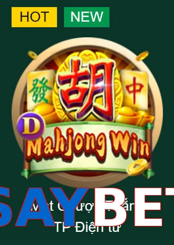 SAYBET