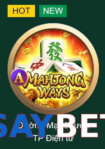 SAYBET