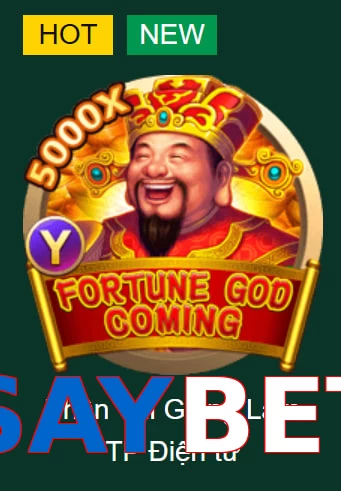 SAYBET